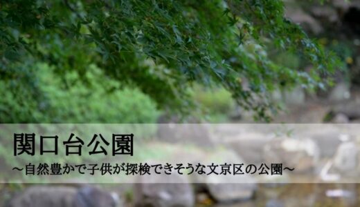 関口台公園～自然豊かで子供が探検できそうな文京区の公園～