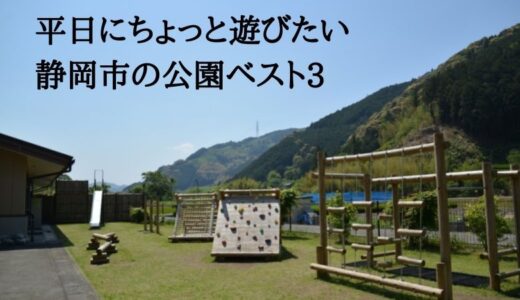 平日にちょっと遊びたい静岡市の公園ベスト3