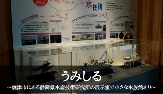 うみしる～焼津市にある静岡県水産技術研究所の展示室で小さな水族館あり～