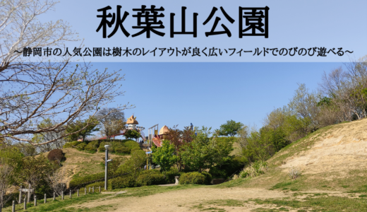 秋葉山公園～静岡市の人気公園は樹木のレイアウトが良く広いフィールドでのびのび遊べる～