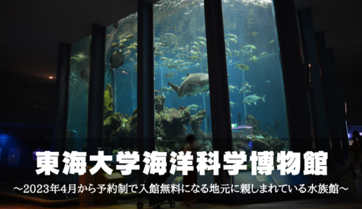 東海大学海洋科学博物館～2023年4月から予約制で入館無料になる地元に親しまれている水族館～