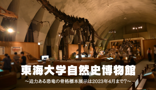 東海大学自然史博物館～迫力ある恐竜の骨格標本展示は2023年4月まで？～