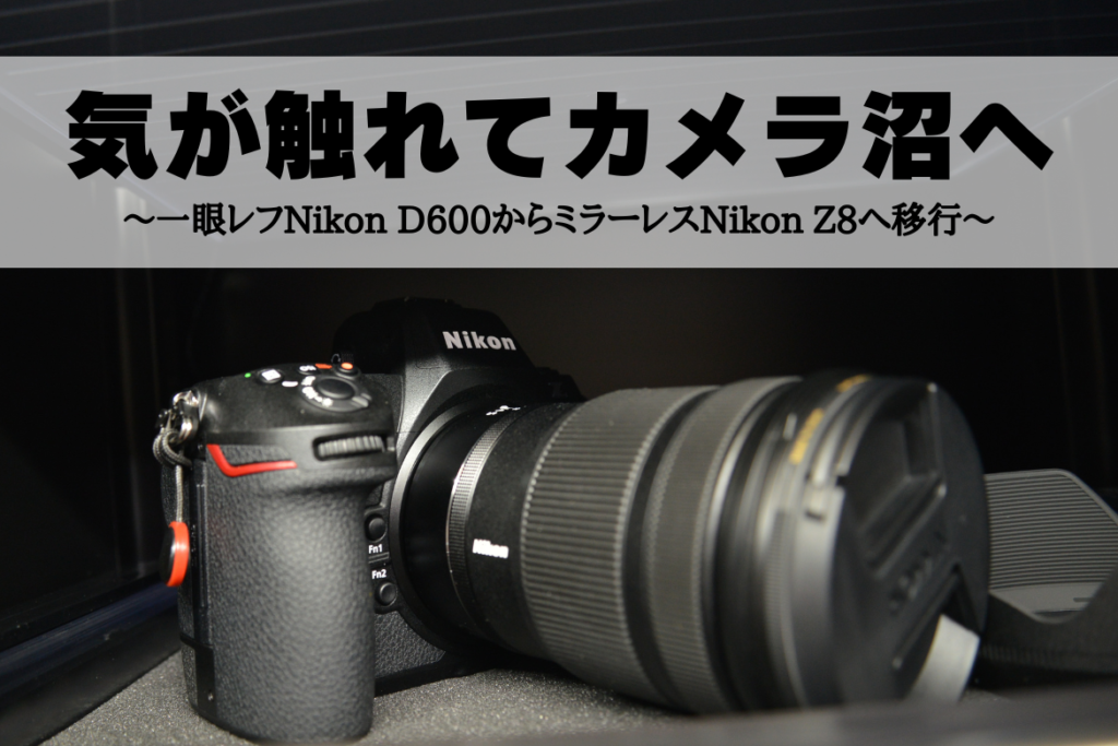ショット数3156枚！スマホ転送OK☆Nikon D60☆写真に特化した一眼レフ ニコンフルサイズミラーレス「Z 7」「Z 6」発表！2機種の