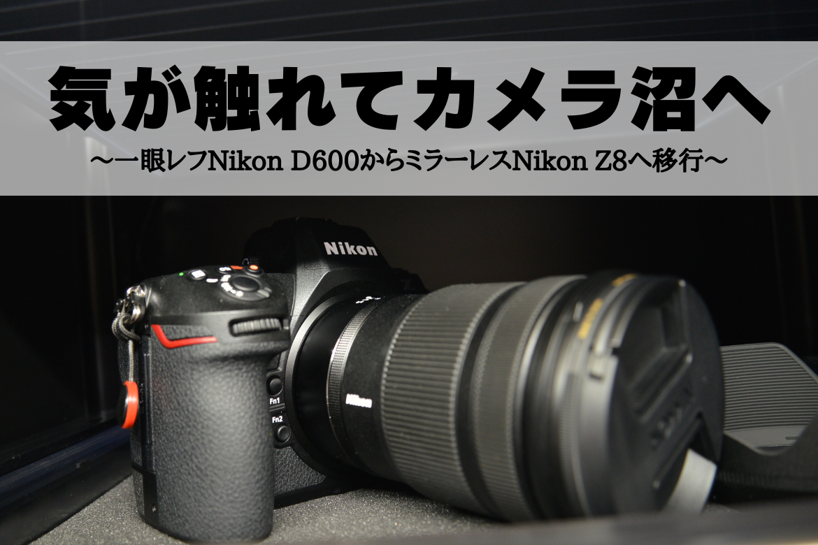 ⭐初心者応援セット⭐Nikon D60 コスパ最高 ⭐一眼レフ 簡単操作 ✨高性能レンズ付き✨初心者にも安心✨Nikon D90レンズセット 初心者